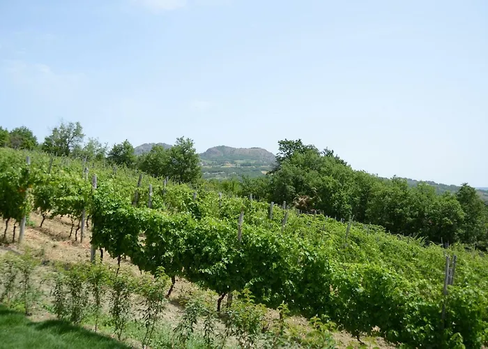 Ca' Del Sartu Alloggio per agriturismo *