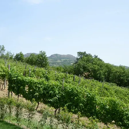 Ca' Del Sartu Κατάλυμα σε φάρμα *